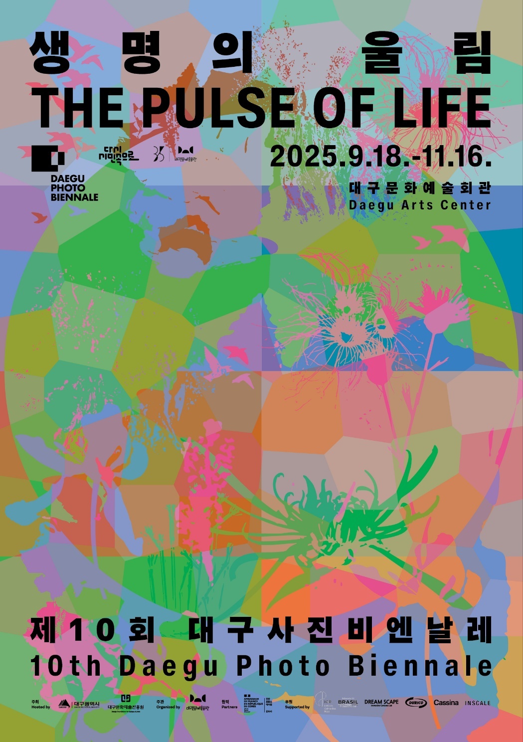 2025 Daegu Photo Biennale opens tomorrow!