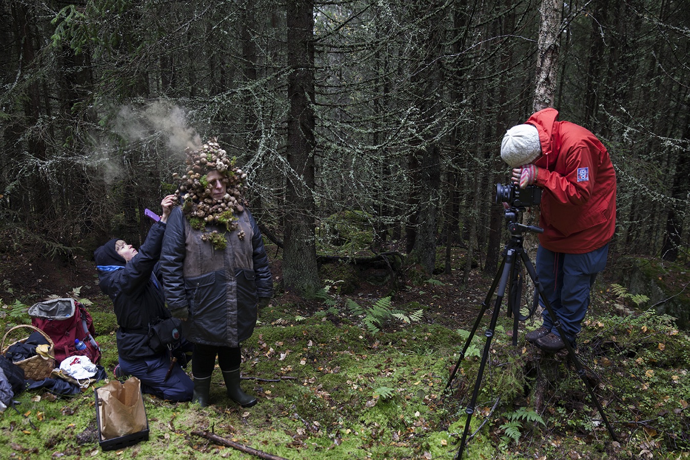 Public commission for the new Norwegian Forest Finn Museum