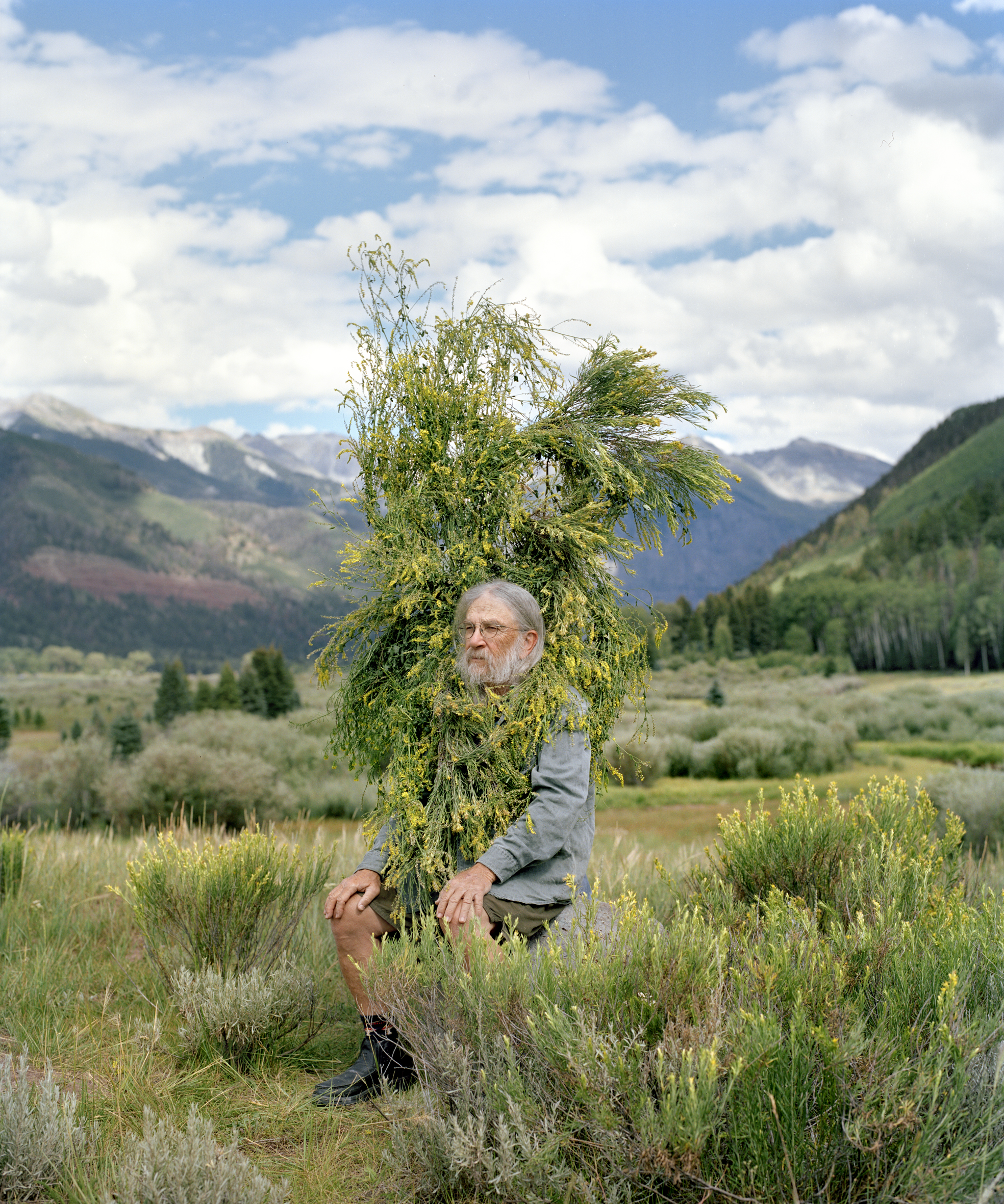 Exhibition invites and winter greetings