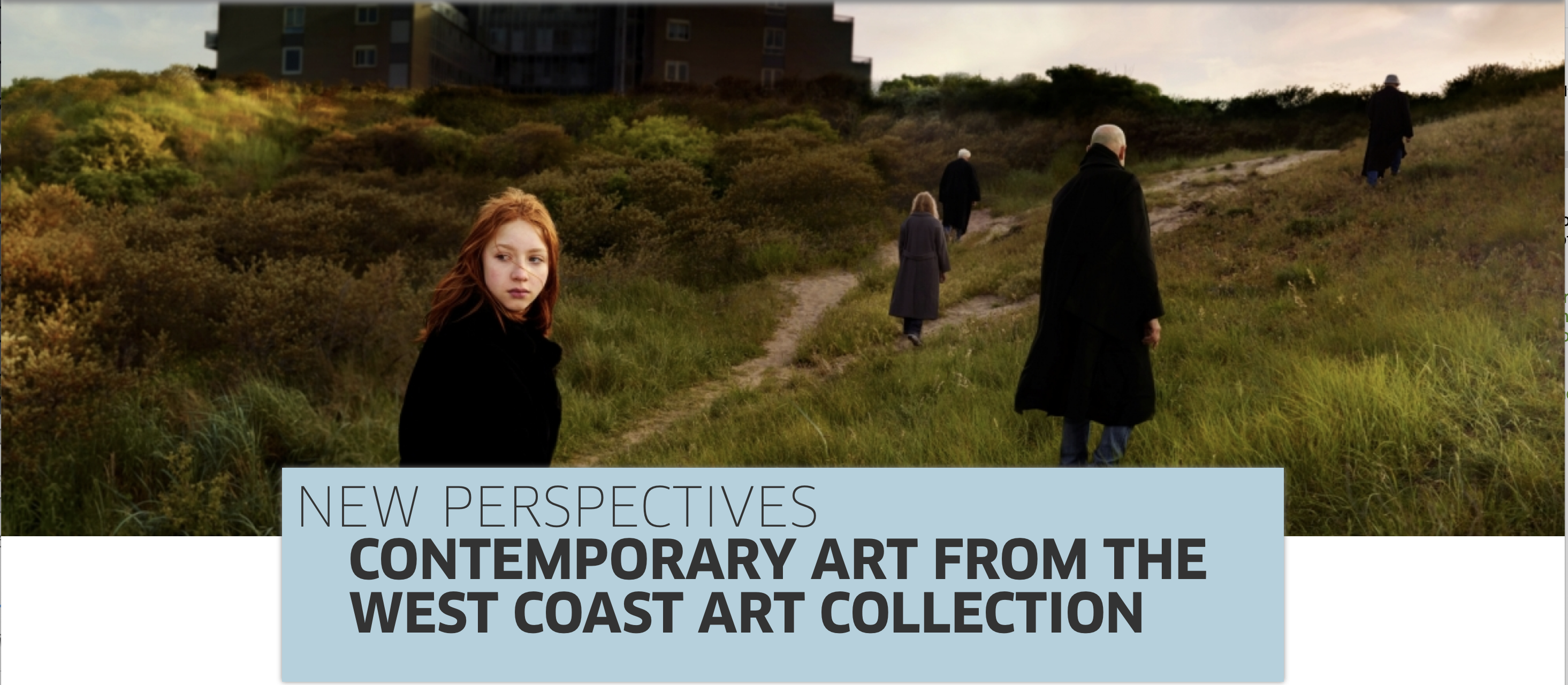 New Perspectives: Contemporary Art from the West Coast Art Collection